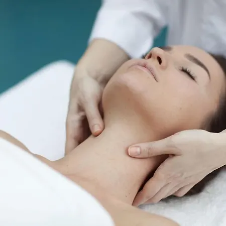 מלון Hotel-spa-piscine Le Petit Castel Beuzeville-honfleur 3*