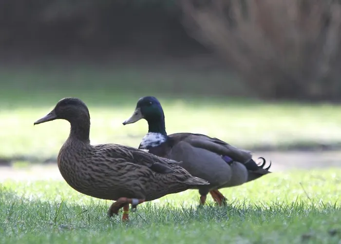 Hotel-spa-piscine Le Petit Castel Beuzeville-honfleur 3*